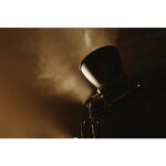 Zhiyun MOLUS G300 COB Bicolor LED 300W - Image 18