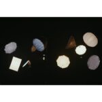 Zhiyun MOLUS G300 COB Bicolor LED 300W - Image 36